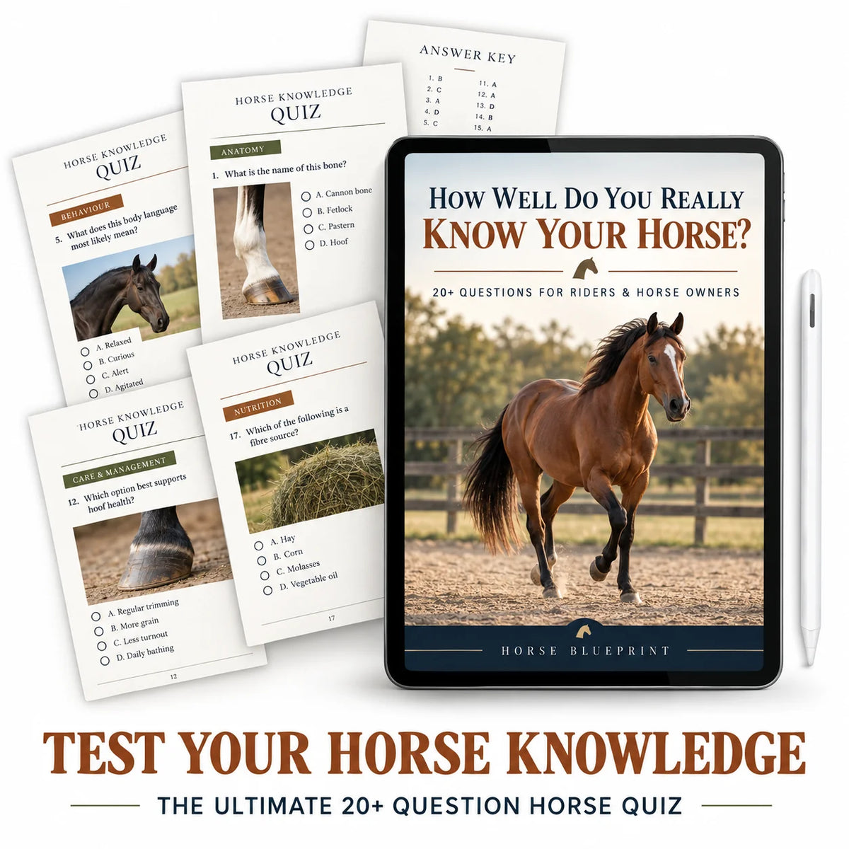 The Ultimate Horse Knowledge Quiz