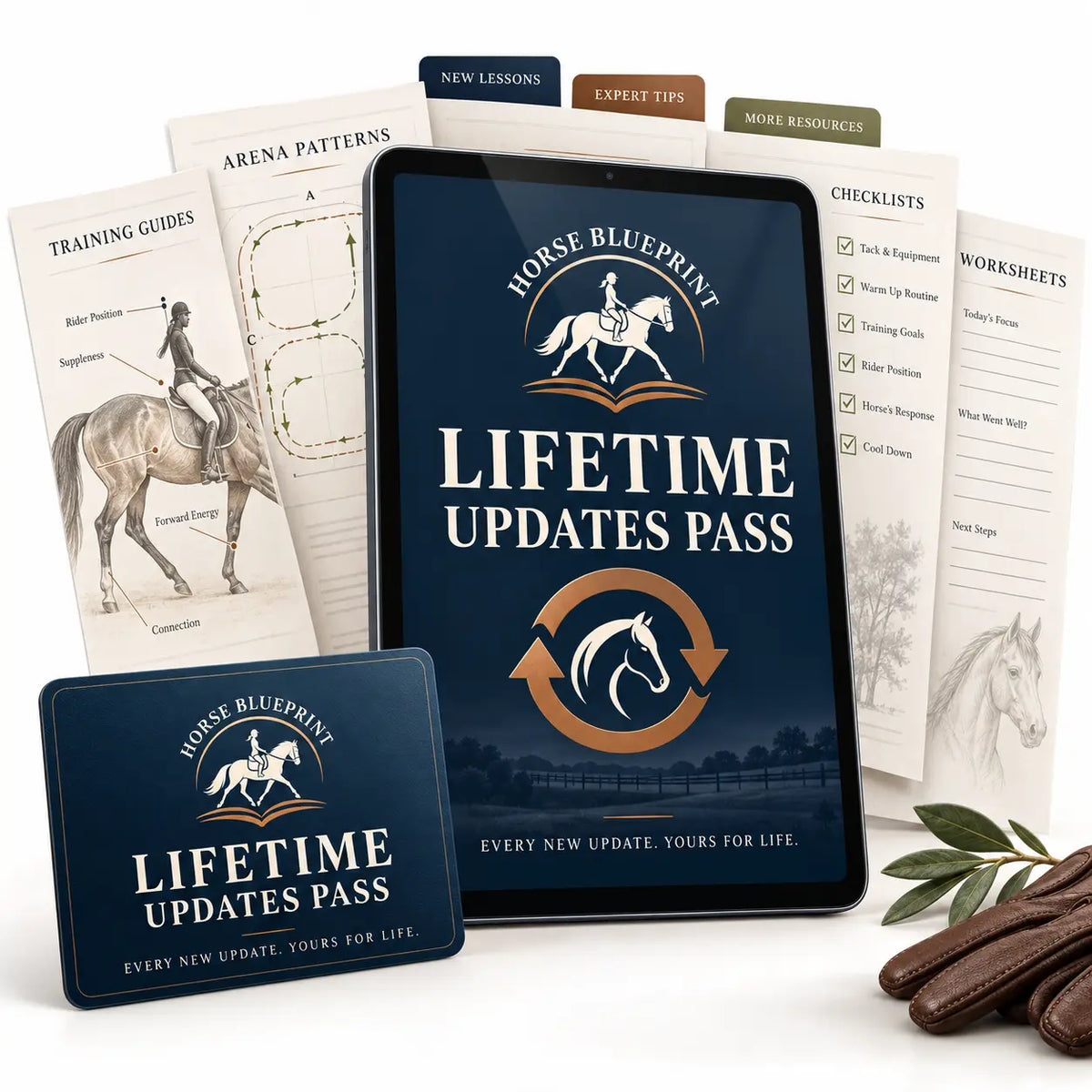 Lifetime Updates Pass
